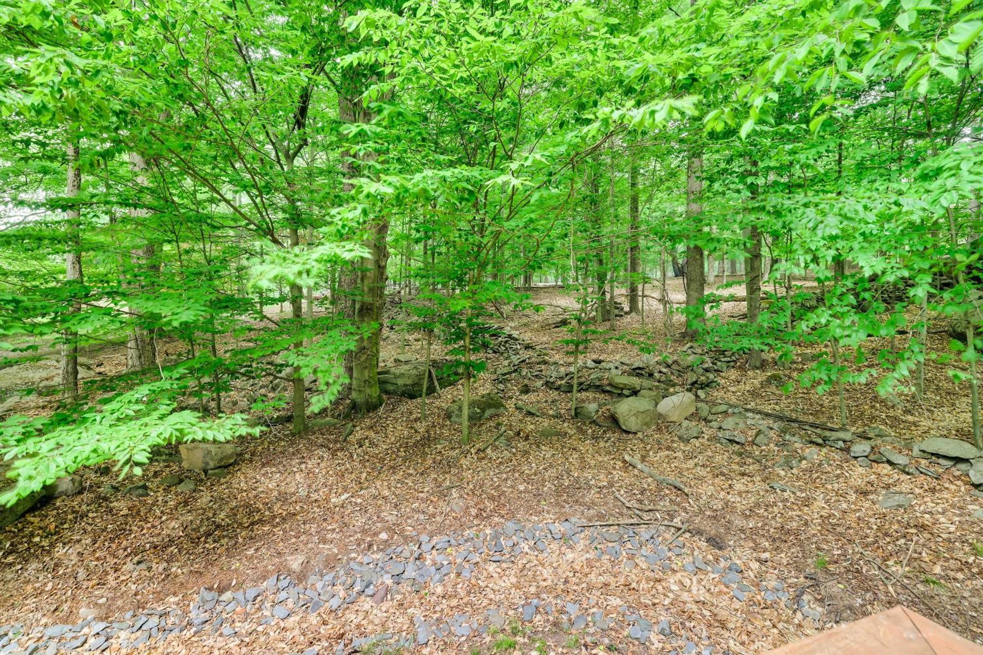 Poconos Cabin Rental - Walk To Lake Wallenpaupack! Lake Ariel Exterior photo